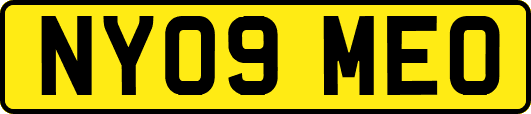 NY09MEO