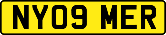 NY09MER