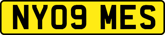 NY09MES