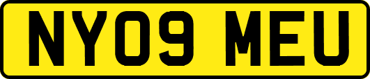 NY09MEU