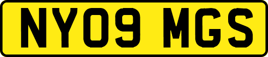 NY09MGS