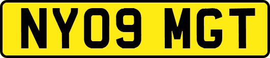 NY09MGT