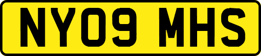 NY09MHS