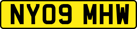 NY09MHW