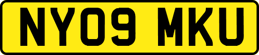 NY09MKU