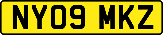 NY09MKZ