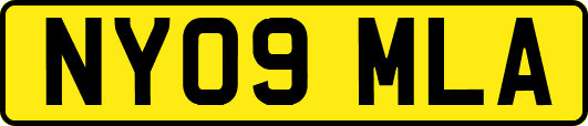 NY09MLA