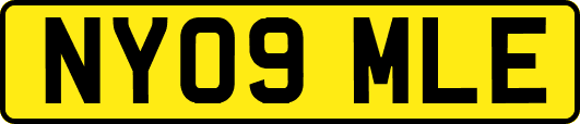 NY09MLE