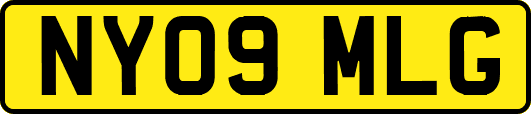 NY09MLG