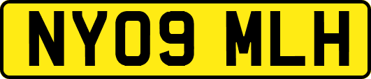 NY09MLH