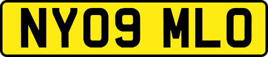 NY09MLO