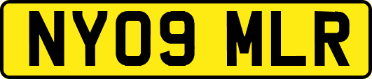 NY09MLR