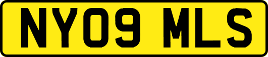 NY09MLS