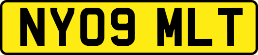 NY09MLT