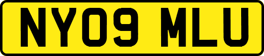 NY09MLU