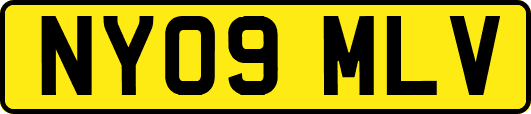 NY09MLV