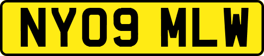 NY09MLW
