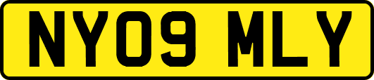 NY09MLY
