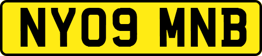 NY09MNB
