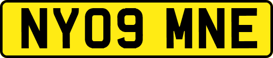 NY09MNE