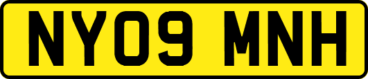NY09MNH