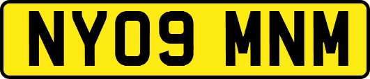 NY09MNM