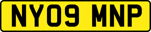 NY09MNP