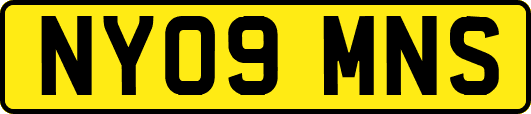 NY09MNS