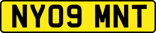NY09MNT