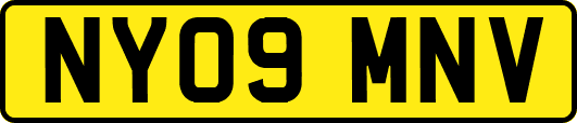 NY09MNV