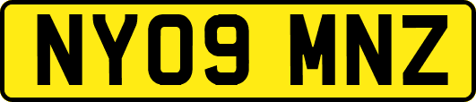 NY09MNZ
