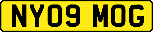 NY09MOG