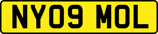 NY09MOL