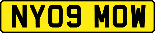 NY09MOW