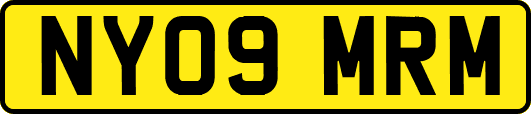 NY09MRM