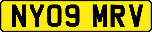 NY09MRV