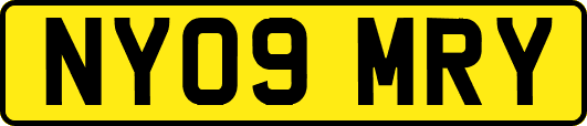 NY09MRY