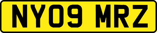 NY09MRZ