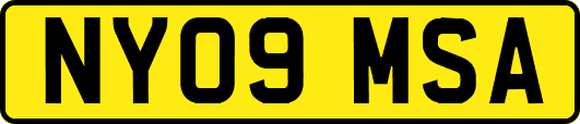 NY09MSA