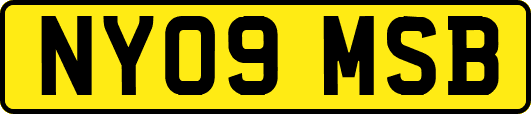 NY09MSB
