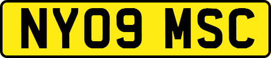 NY09MSC