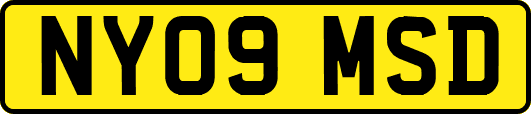 NY09MSD