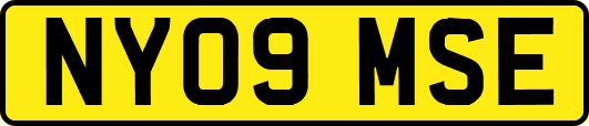 NY09MSE