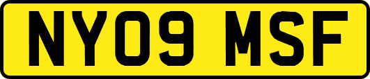 NY09MSF