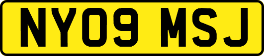 NY09MSJ