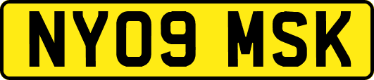 NY09MSK