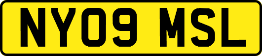 NY09MSL