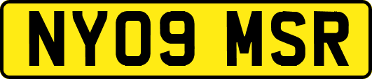 NY09MSR