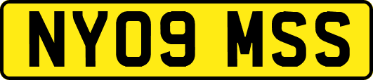 NY09MSS