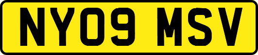NY09MSV
